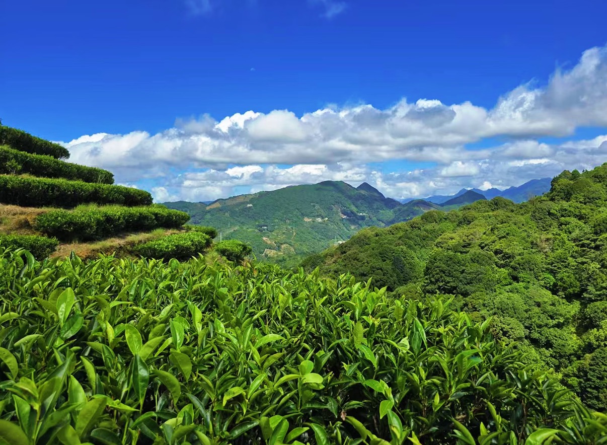 产业基地