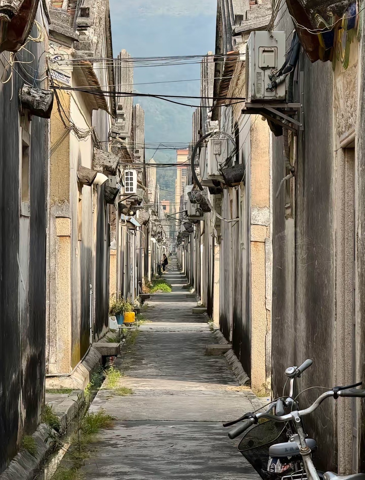 乡村景色